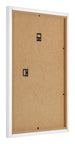 Cornice 60x80cm Bianco Opaco MDF Bologna Retro Obliquo | Yourdecoration.it