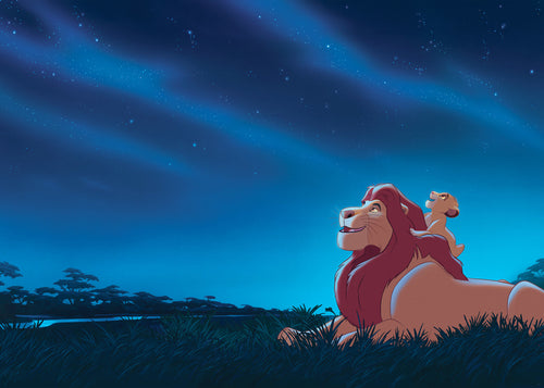 Disney The Lion King Stargazing Carta da Parati DX7 197 | Yourdecoration.it