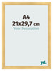Cornice A4 - 21x29,7 cm - Oro Opaco - MDF - Pisa