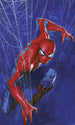 Marvel Spider Man Spider Carta da Parati DX3 210 | Yourdecoration.it