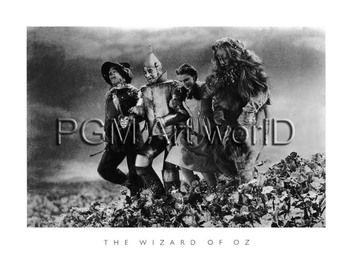 PGM AA 4197 Edward Lunch The Wizard of OZ Stampa Artistica 80x60cm | Yourdecoration.it