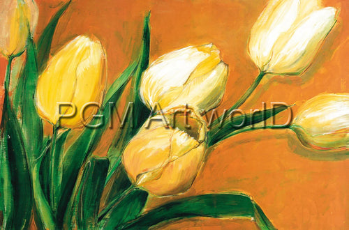 PGM EKS 02 Elisabeth Krobs Tulipa Nova Stampa Artistica 100x66cm | Yourdecoration.it