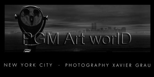 PGM GUX 01 Xavier Grau New York Panoramic Stampa Artistica 100x50cm | Yourdecoration.it