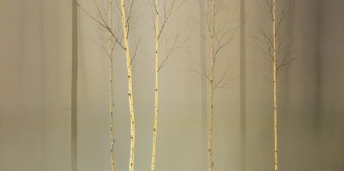 PGM MGD 212 Ged Mitchell Winterlely Wood Stampa Artistica 100x50cm | Yourdecoration.it