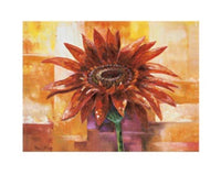 PGM RNW 2084 Rian Withaar The eye of the Flower Stampa Artistica 30x24cm | Yourdecoration.it