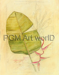 PGM TNA 52 Avery Tillmon Botanical Journal I Stampa Artistica 56x71cm | Yourdecoration.it