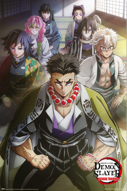 Poster Demon Slayer Hashira Training 1 61x91 5cm GPE6072 | Yourdecoration.it