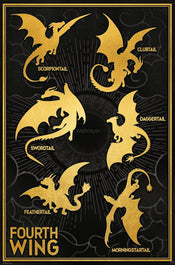 Poster Fourth Wing Dragons 61x91 5cm GBYDCOA048 | Yourdecoration.it