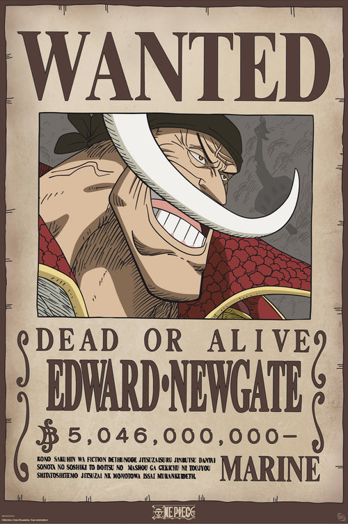Poster One Piece Wanted Whitebeard 61x91 5cm GBYDCO596 | Yourdecoration.it