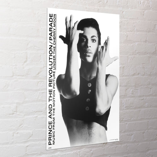 Poster Prince 61x91 5cm WPSX056 Sfeer | Yourdecoration.it