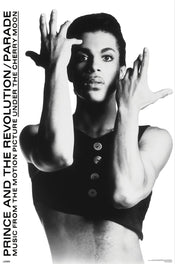Poster Prince 61x91 5cm WPSX056 | Yourdecoration.it