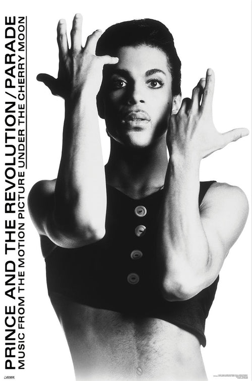 Poster Prince 61x91 5cm WPSX056 | Yourdecoration.it