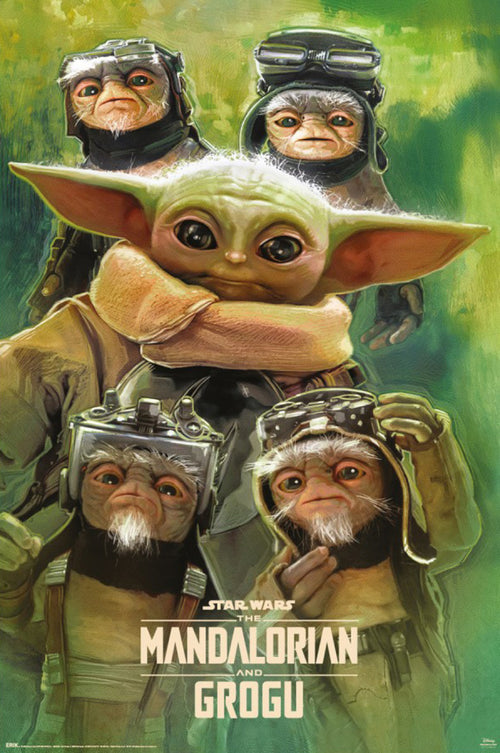 Poster Star Wars The Mandalorian And Grogu Grogu Anzellans 61x91 5cm GPE6055 | Yourdecoration.it