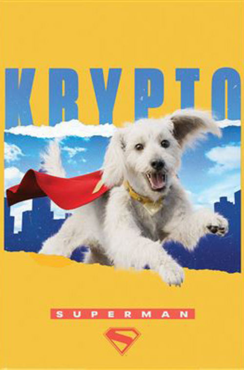 Poster Superman Krypto 61x91 5cm PP2500425 | Yourdecoration.it