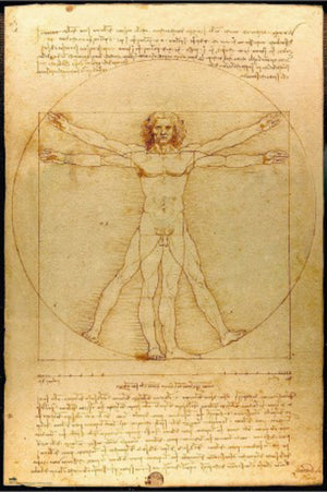 Poster Vitruvian Man 61x91 5cm Grupo Erik GPE5819 | Yourdecoration.it
