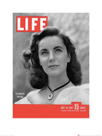 Stampa Artistica Time Life Life Cover Elizabeth Taylor 60x80cm Pyramid PPR40203 | Yourdecoration.it