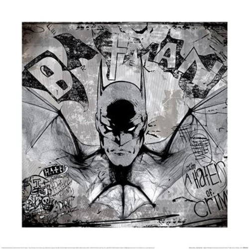 Stampa Artistica Wb100 Batman Hater Of Crime 40x40cm Pyramid PPR55139 | Yourdecoration.it