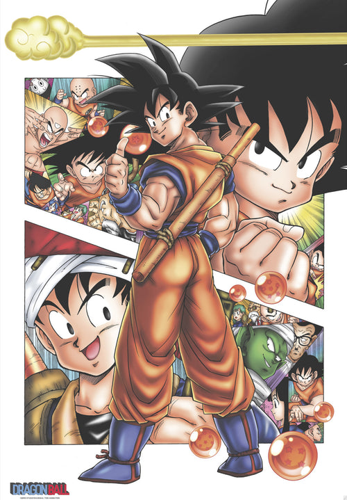 Dragon Ball Db Son Goku Story Poster 61X91 5cm | Yourdecoration.it