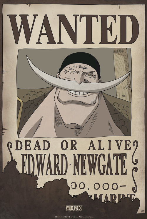 One Piece Wanted Edward Newgate Poster 35X52cm | Yourdecoration.it