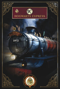 Harry Potter Hogwarts Express Poster 61X91 5cm | Yourdecoration.it