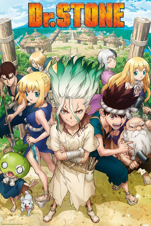 Dr Stone Groupe Poster 61X91 5cm | Yourdecoration.it