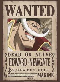 Abystyle Gbydco263 One Piece Wanted Whitebeard Poster 38x52cm | Yourdecoration.it