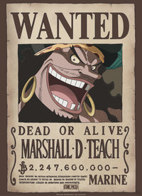 Abystyle Gbydco267 One Piece Wanted Blackbeard Poster 38x52cm | Yourdecoration.it