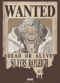 Abystyle Gbydco268 One Piece Wanted Rayleigh Poster 38x52cm | Yourdecoration.it