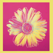 pgm aw 791 andy warhol daisy 1982 stampa artistica 90x90cm | Yourdecoration.it