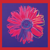 pgm aw 793 andy warhol daisy 1982 stampa artistica 90x90cm | Yourdecoration.it