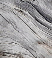 Dimex Tree Texture Carta Da Parati In Tessuto Non Tessuto 225X250cm 3 Strisce | Yourdecoration.it