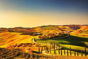Dimex Tuscany Carta Da Parati In Tessuto Non Tessuto 375X250cm 5 Strisce | Yourdecoration.it