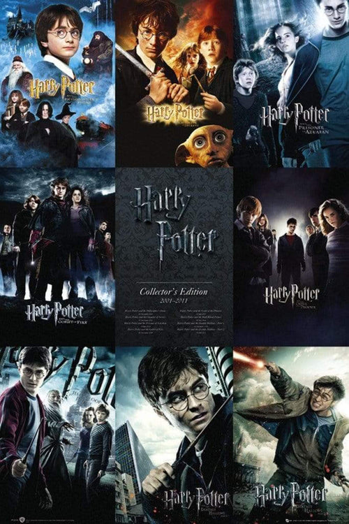 GBeye Harry Potter Collection Poster 61x91,5cm | Yourdecoration.it