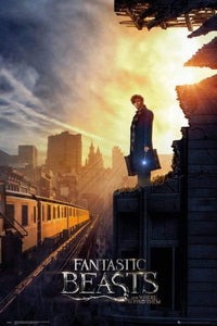 GBeye Fantastic Beasts One Sheet 2 Poster 61x91,5cm | Yourdecoration.it