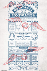 Gbeye Harry Potter Quidditch At Hogwarts Poster 61X91 5cm | Yourdecoration.it