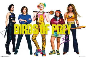 GBeye Birds of Prey Group Poster 91,5x61cm | Yourdecoration.it