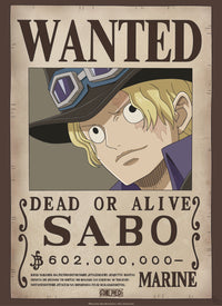Gbeye Gbydco260 One Piece Wanted Poster 38x52cm | Yourdecoration.it