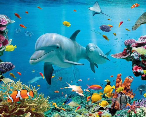 GBeye Tropical Ocean Poster 50x40cm | Yourdecoration.it