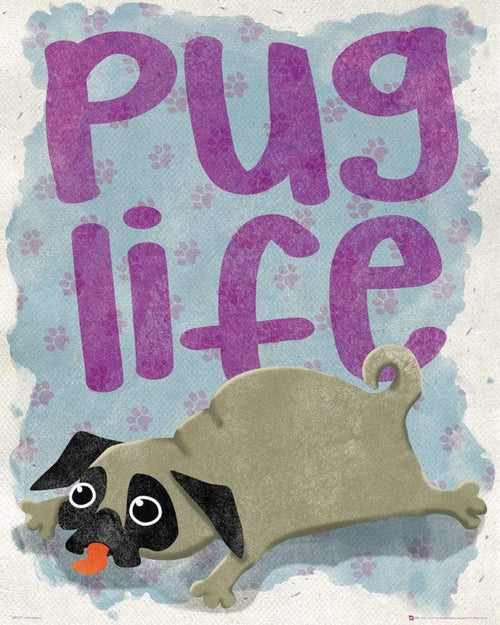 GBeye Pug Life Poster 40x50cm | Yourdecoration.it