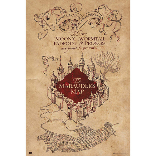Grupo Erik GPE5159 Harry Potter The Marauders Map Poster 61X91,5cm | Yourdecoration.it