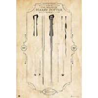 Grupo Erik GPE5161 Harry Potter The Wand Poster 61X91,5cm | Yourdecoration.it