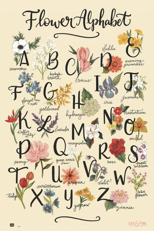 Grupo Erik GPE5323 Lily And Val Flowers Alphabet Poster 61X91,5cm | Yourdecoration.it
