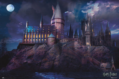 Grupo Erik GPE5367 Harry Potter Hogwarts Poster 91,5X61cm | Yourdecoration.it