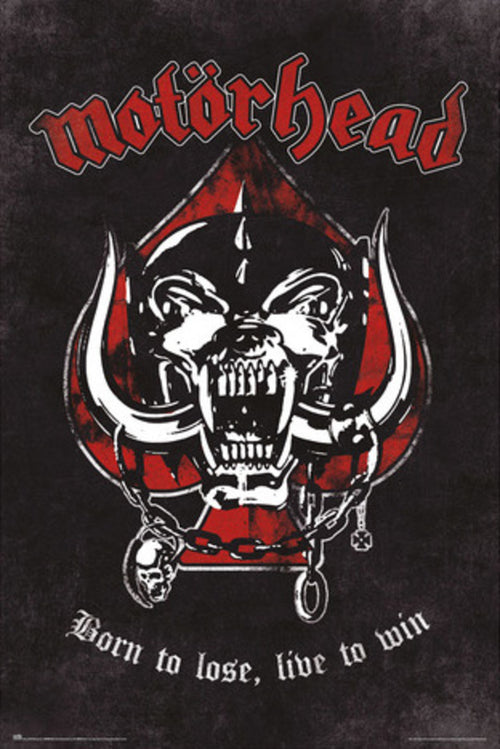 grupo erik gpe5711 motorhead born to lose poster 61x91-5 cm | Yourdecoration.it