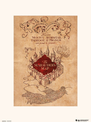 grupo erik harry potter the marauders map stampa artistica 30x40cm | Yourdecoration.it