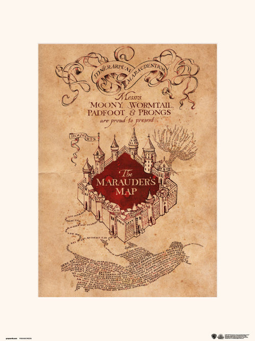 grupo erik harry potter the marauders map stampa artistica 30x40cm | Yourdecoration.it
