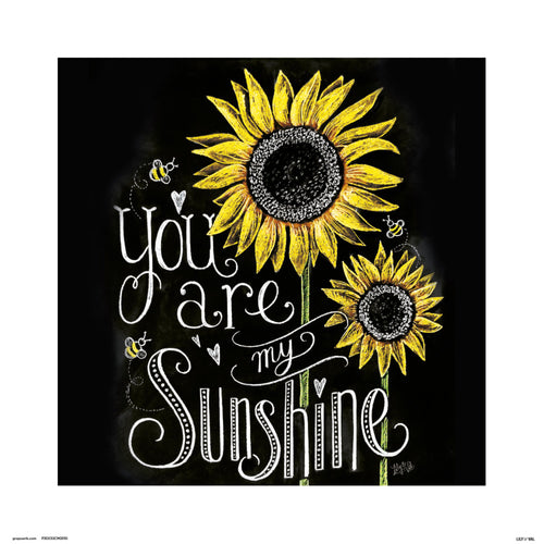 grupo erik lily and val you are my sunshine stampa artistica 30x30cm | Yourdecoration.it