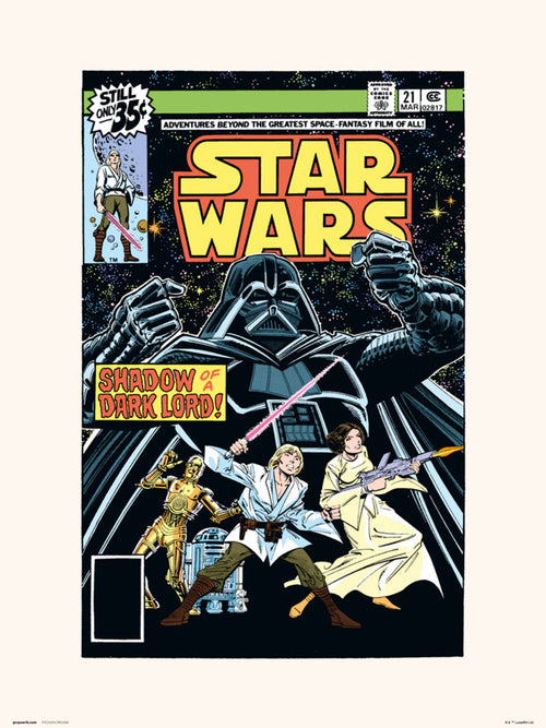 grupo erik star wars 21 shadow of a dark lord stampa artistica 30x40cm | Yourdecoration.it
