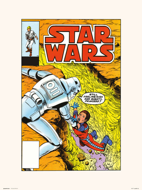 grupo erik star wars 86 the alderaan factor stampa artistica 30x40cm | Yourdecoration.it