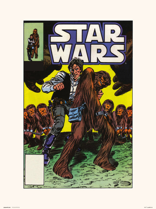 grupo erik star wars 91 wookiee world stampa artistica 30x40cm | Yourdecoration.it
